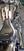 Harley-Davidson 1800 Breakout (2012 - 14) - FXSBSE (15)