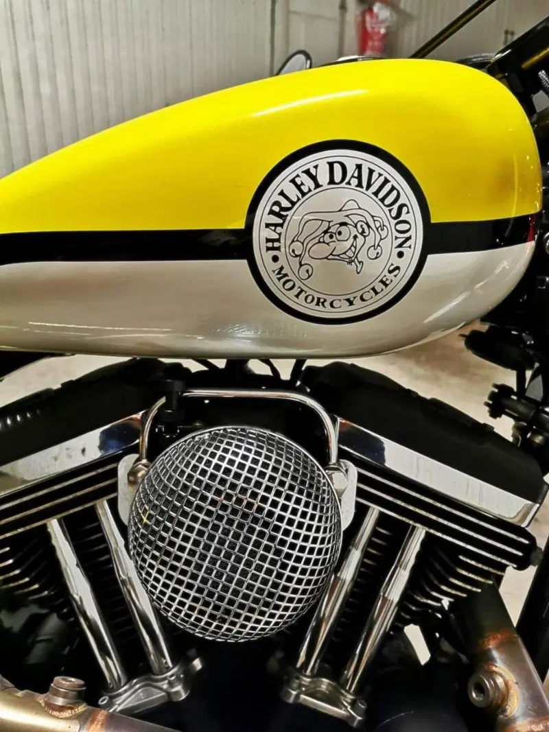 Harley-Davidson 1200 Custom (2004 - 06) - XL 1200C