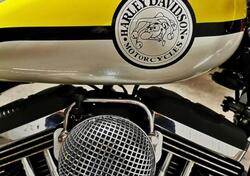 Harley-Davidson 1200 Custom (2004 - 06) - XL 1200C usata