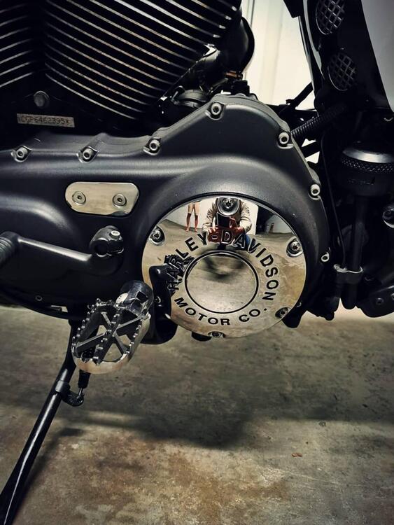 Harley-Davidson 1200 Custom (2004 - 06) - XL 1200C (4)