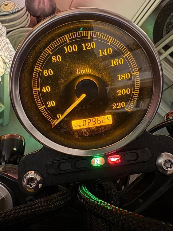 Harley-Davidson 1200 Custom (2004 - 06) - XL 1200C (5)