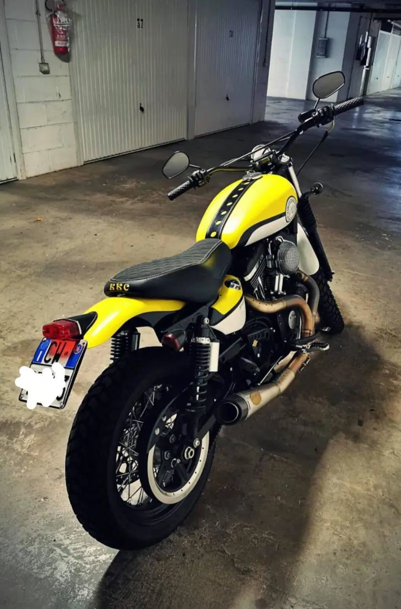 Harley-Davidson 1200 Custom (2004 - 06) - XL 1200C (12)