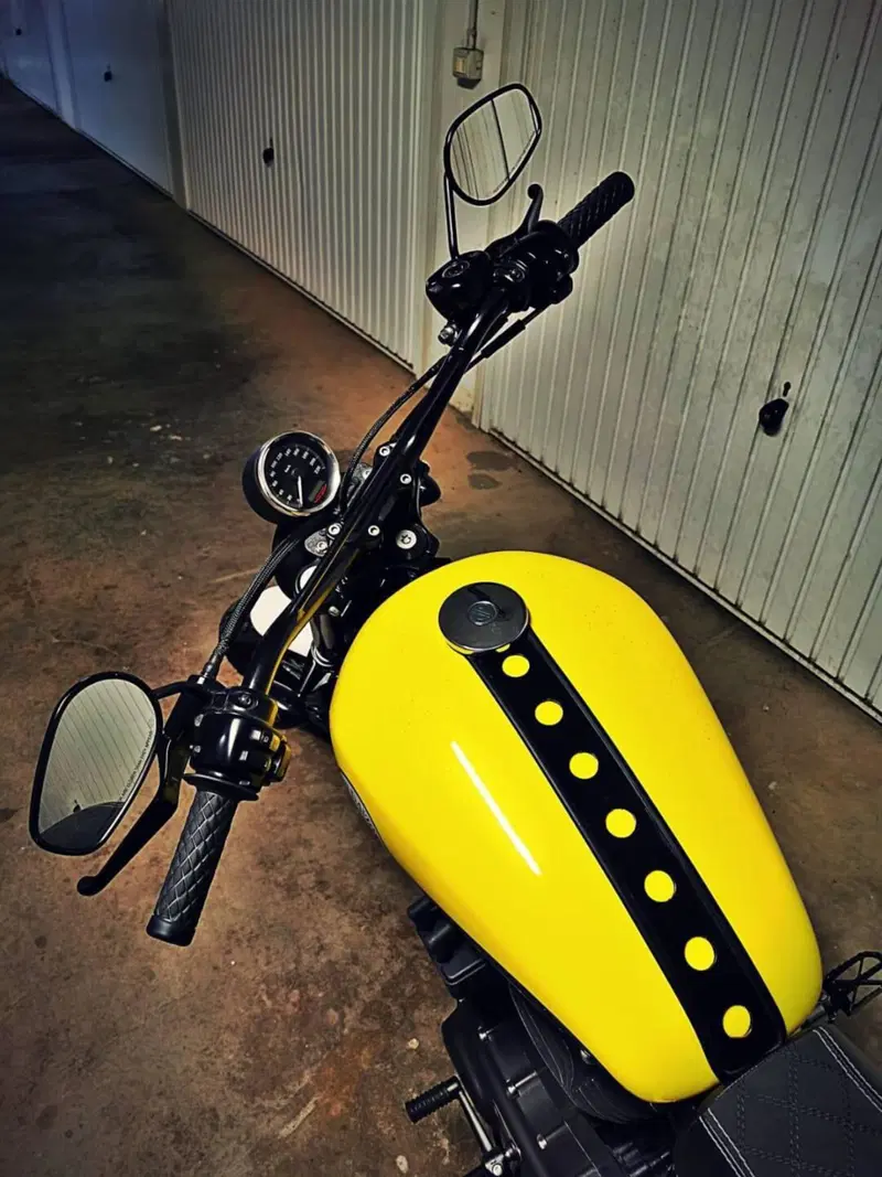 Harley-Davidson 1200 Custom (2004 - 06) - XL 1200C (13)