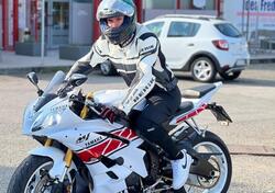 Yamaha YZF R6 (2008 - 09) usata
