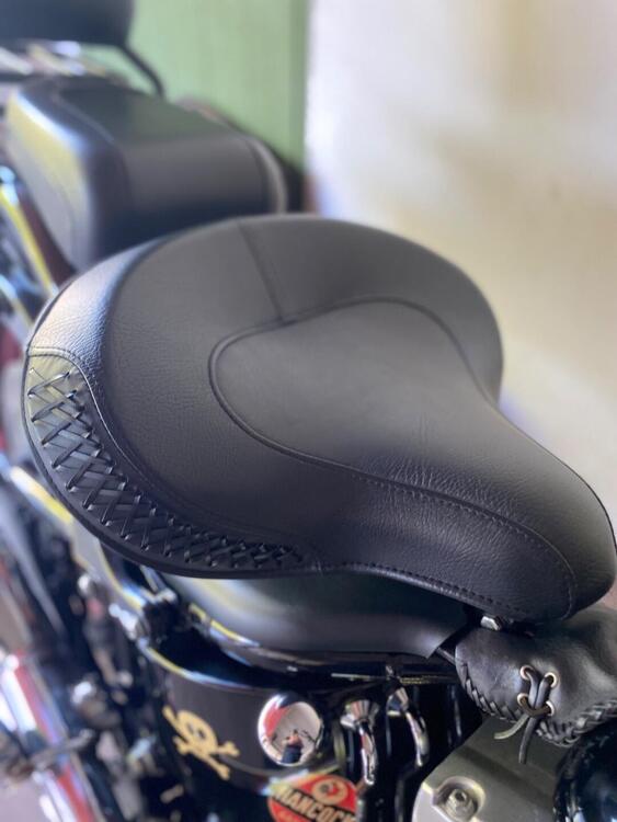Harley-Davidson 1584 Cross Bones (2008 - 11) - FLSTSB (4)