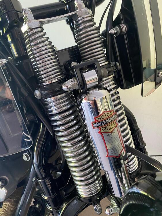 Harley-Davidson 1584 Cross Bones (2008 - 11) - FLSTSB (2)
