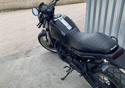 Benelli Leoncino 500 Trail (2021 - 25) usata