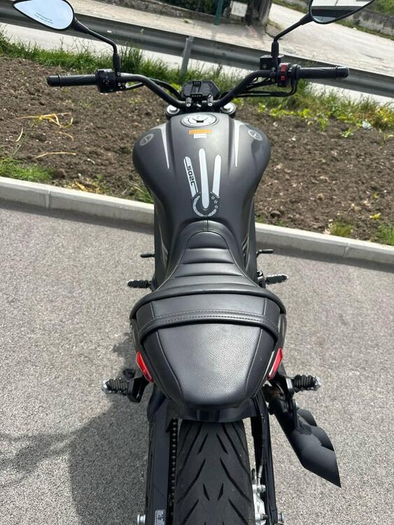 Benelli 502 C (2019 - 20) (2)