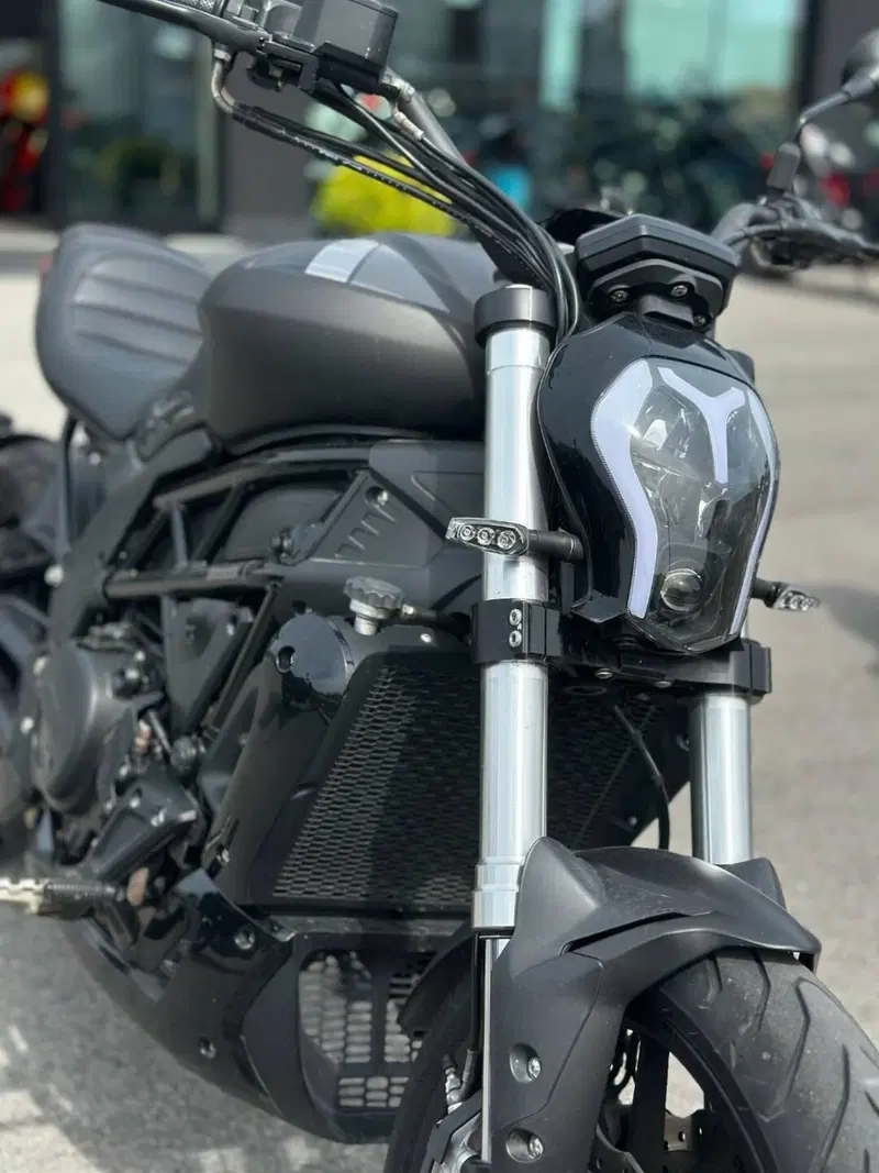Benelli 502 C (2019 - 20) (5)