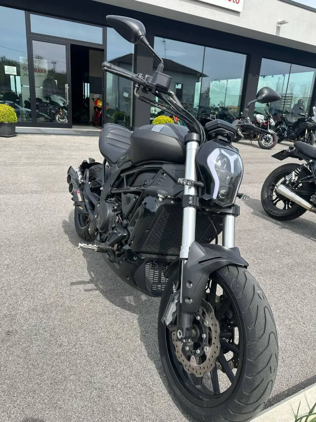 Benelli 502 C (2019 - 20) (6)