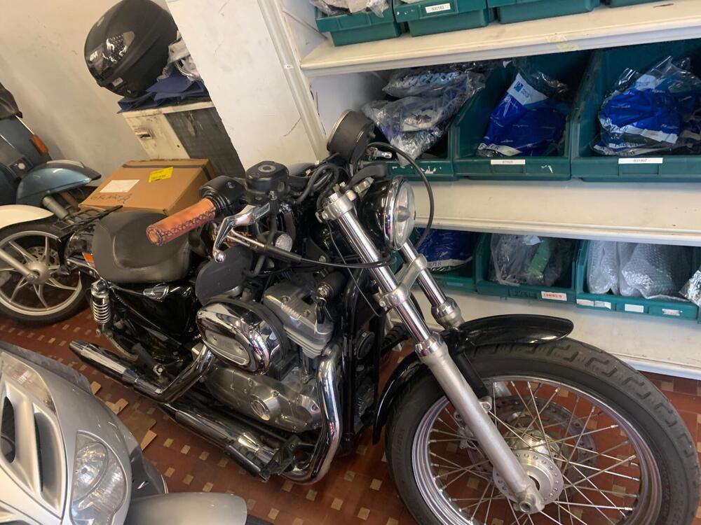 Harley-Davidson 883 (2008 - 09) - XL (2)