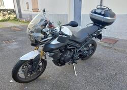 Triumph Tiger 800 ABS (2010 - 14) usata
