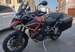 Triumph Tiger 1200 GT Pro (2024 - 25) usata