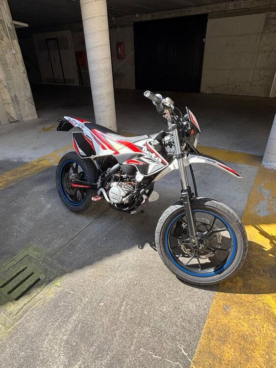 Betamotor RR 50 Motard (2011 - 18) (3)