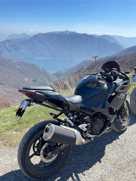 Kawasaki Ninja 500 (2024 - 25) (2)
