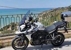 Triumph Tiger 1200 Alpine Edition (2020) usata