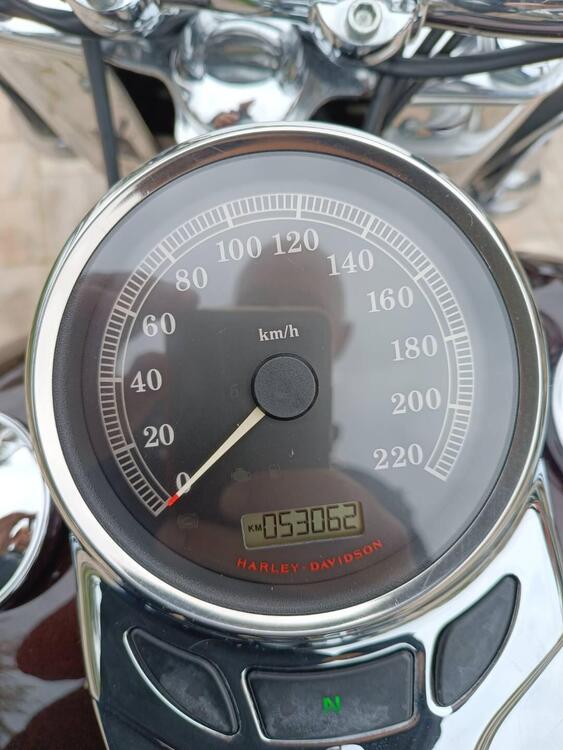 Harley-Davidson 1584 Heritage Classic (2008 - 10) - FLSTC (5)