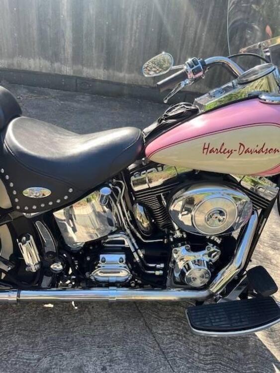 Harley-Davidson 1450 Heritage Classic (1999 - 02) - FLSTC (4)