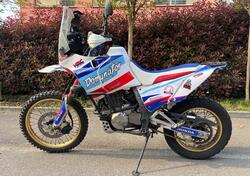 Honda NX 650 Dominator (1991 - 95) usata