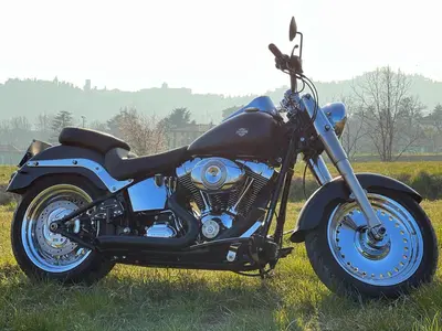 Harley-Davidson 1584 Fat Boy (2008 - 10) - FLSTF usata