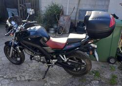 Suzuki SV 650 (2006 - 11) usata