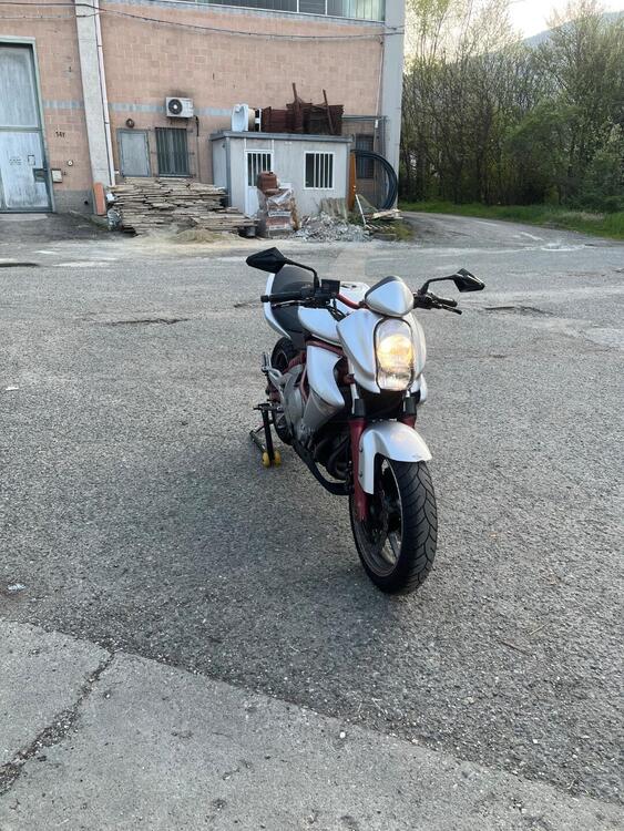 Kawasaki ER-6N (2006 - 09)