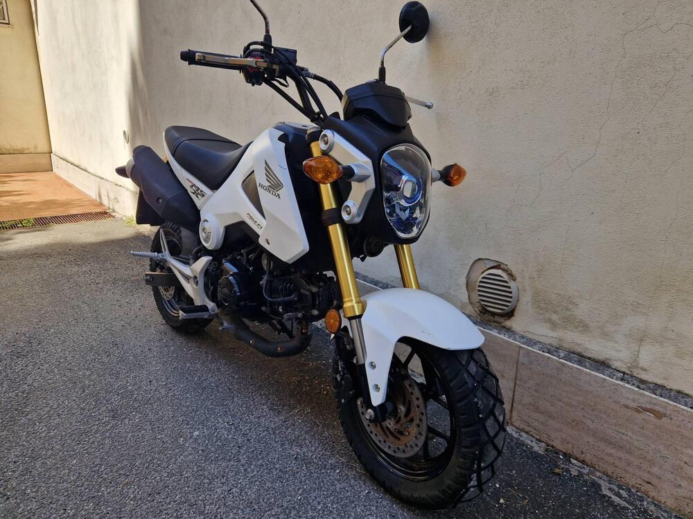 Honda MSX 125 (2013 - 15) (2)