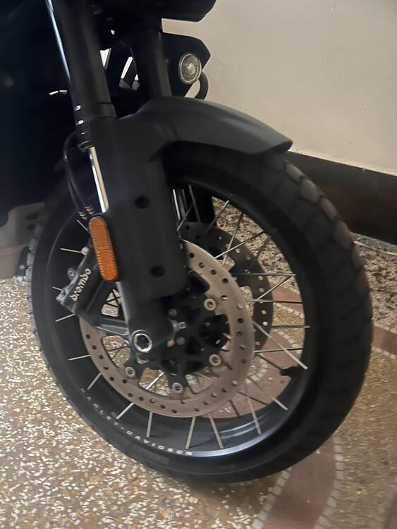 Harley-Davidson Pan America 1250 Special (2020 - 25) (5)