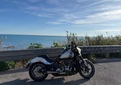 Harley-Davidson Sport Glide (2021 - 25) usata