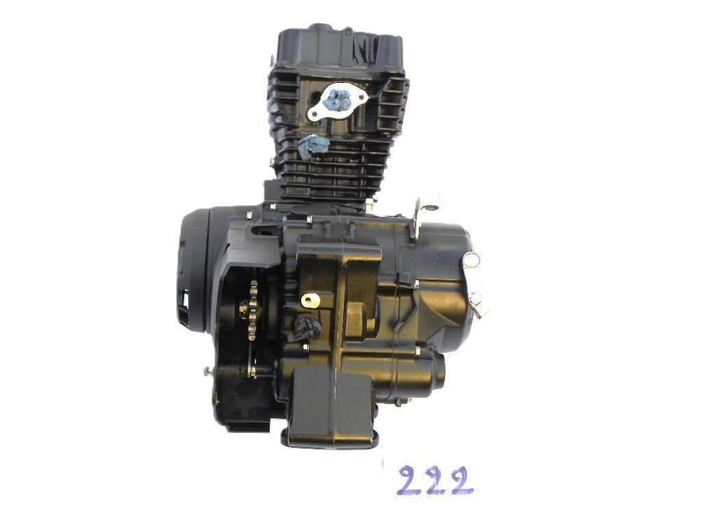 Motore Honda CBF 125 4 tempi (n. 222) (5)