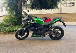 Kawasaki Z 300 ABS (2015 - 16) usata