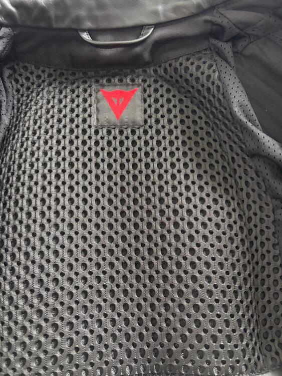 Giacca donna pelle Dainese (4)