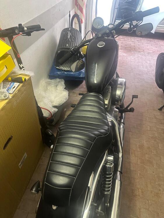 Harley-Davidson 883 (2008 - 09) - XL (3)