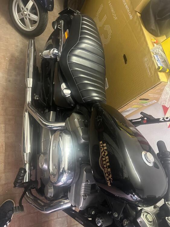 Harley-Davidson 883 (2008 - 09) - XL (5)
