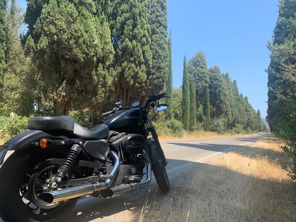 Harley-Davidson 883 Iron (2009 - 11) - XL 883N (5)