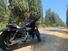 Harley-Davidson 883 Iron (2009 - 11) - XL 883N (6)