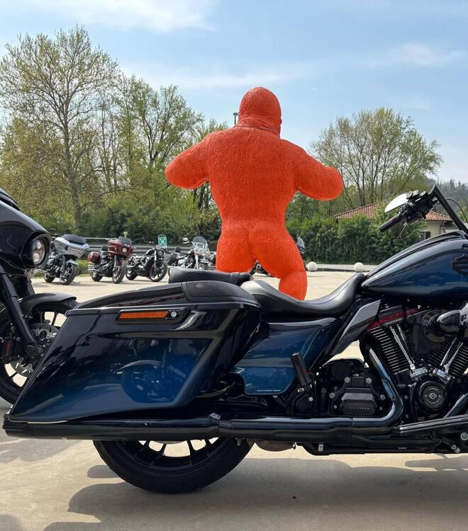 Harley-Davidson 117 Road Glide (2018 - 19) - FLTRXSE (4)