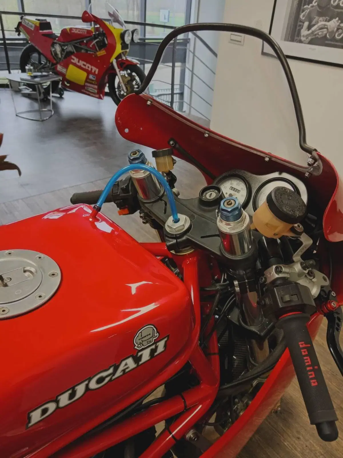 Ducati 750 f1 (6)