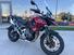 Triumph Tiger 1200 GT Pro (2024 - 25) (8)