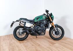 Benelli Leoncino 800 Trail (2022 - 25) usata