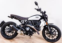 Ducati Scrambler 800 Icon (2015 - 16) usata