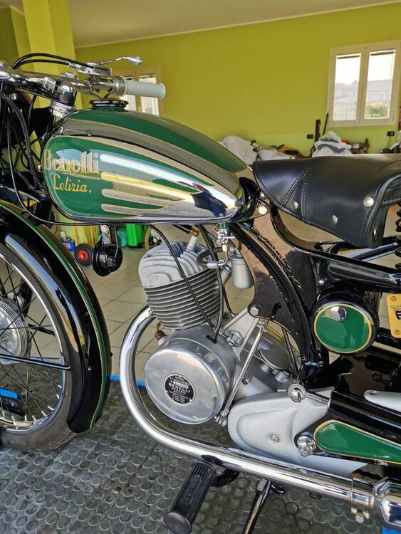 Benelli Letizia 98 (5)