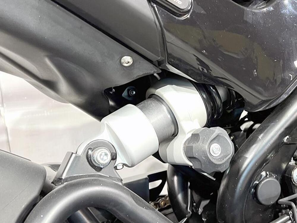 Benelli Leoncino 500 (2021 - 25) (5)