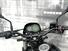 Benelli Leoncino 500 (2021 - 25) (6)