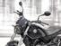 Benelli Leoncino 500 (2021 - 25) (9)