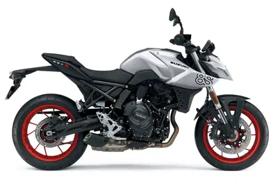 Suzuki GSX-8S (2023 - 24) nuova