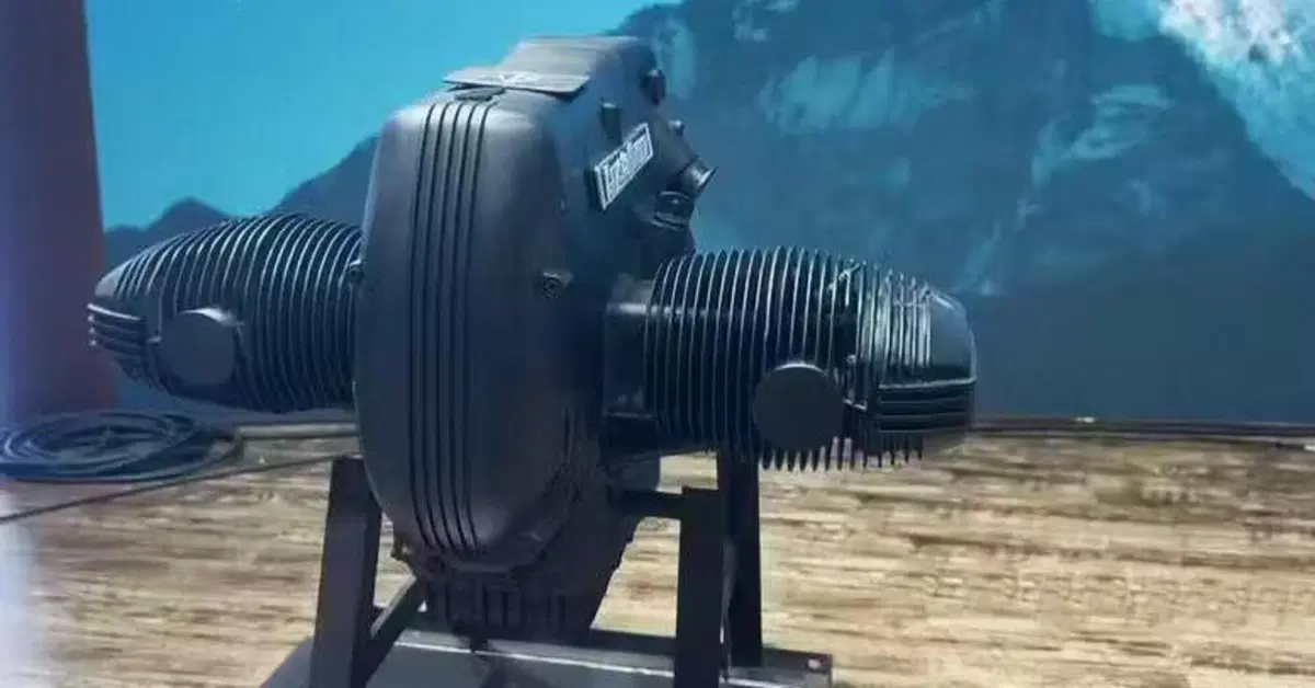 Boxer ad aria s&igrave;, ma cinese