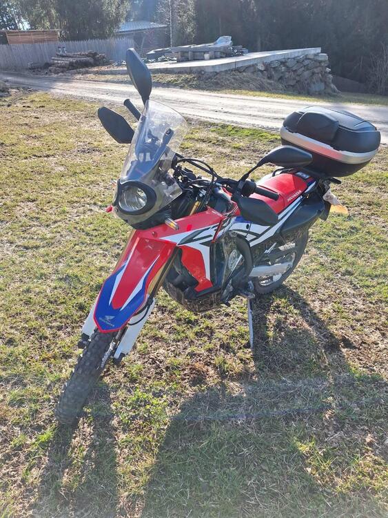 Honda CRF 250 Rally (2017 - 20) (3)