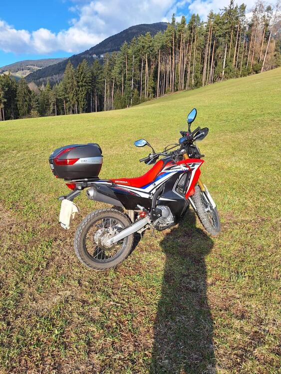 Honda CRF 250 Rally (2017 - 20) (4)