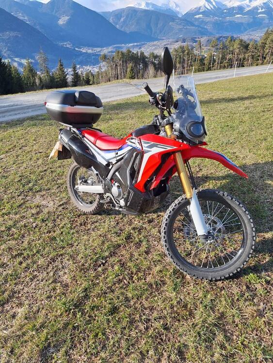 Honda CRF 250 Rally (2017 - 20) (5)